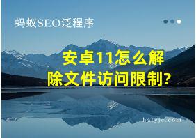 安卓11怎么解除文件访问限制?