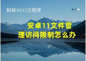 安卓11文件管理访问限制怎么办