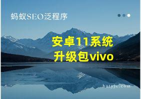 安卓11系统升级包vivo