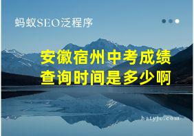 安徽宿州中考成绩查询时间是多少啊