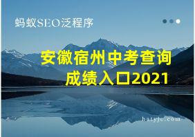 安徽宿州中考查询成绩入口2021