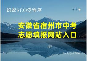 安徽省宿州市中考志愿填报网站入口