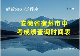 安徽省宿州市中考成绩查询时间表