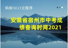 安徽省宿州市中考成绩查询时间2021