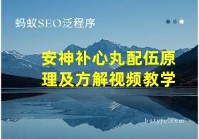 安神补心丸配伍原理及方解视频教学