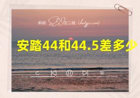 安踏44和44.5差多少