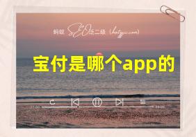 宝付是哪个app的