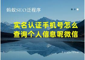 实名认证手机号怎么查询个人信息呢微信