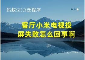 客厅小米电视投屏失败怎么回事啊