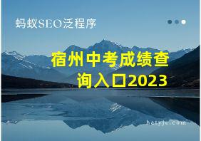 宿州中考成绩查询入口2023