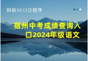 宿州中考成绩查询入口2024年级语文