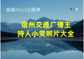 宿州交通广播主持人小雯照片大全