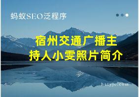 宿州交通广播主持人小雯照片简介