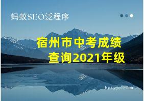 宿州市中考成绩查询2021年级