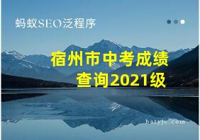 宿州市中考成绩查询2021级