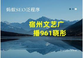 宿州文艺广播961晓彤