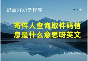 寄件人查询取件码信息是什么意思呀英文