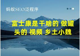 富士康是干啥的 做罐头的 视频 乡土小魏