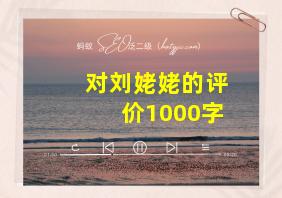 对刘姥姥的评价1000字