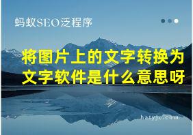 将图片上的文字转换为文字软件是什么意思呀