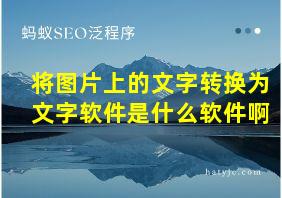 将图片上的文字转换为文字软件是什么软件啊