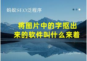 将图片中的字抠出来的软件叫什么来着