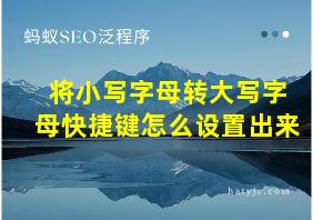 将小写字母转大写字母快捷键怎么设置出来