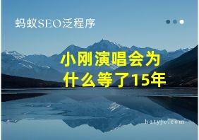 小刚演唱会为什么等了15年