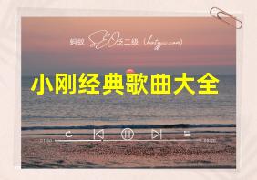 小刚经典歌曲大全