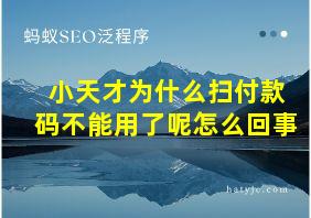 小天才为什么扫付款码不能用了呢怎么回事