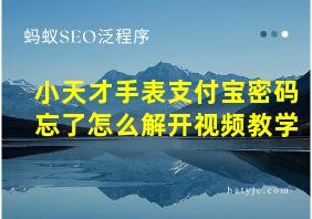 小天才手表支付宝密码忘了怎么解开视频教学