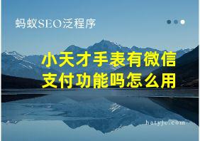 小天才手表有微信支付功能吗怎么用