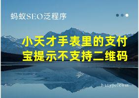 小天才手表里的支付宝提示不支持二维码