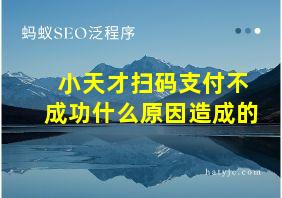 小天才扫码支付不成功什么原因造成的