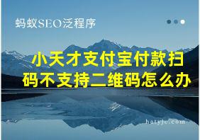 小天才支付宝付款扫码不支持二维码怎么办