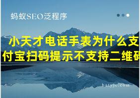 小天才电话手表为什么支付宝扫码提示不支持二维码