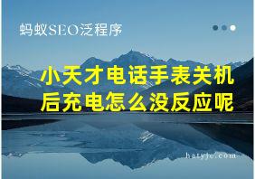 小天才电话手表关机后充电怎么没反应呢