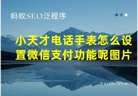 小天才电话手表怎么设置微信支付功能呢图片