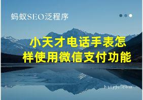 小天才电话手表怎样使用微信支付功能