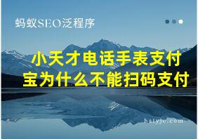 小天才电话手表支付宝为什么不能扫码支付