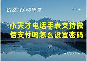 小天才电话手表支持微信支付吗怎么设置密码