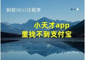 小天才app里找不到支付宝