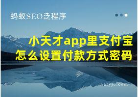 小天才app里支付宝怎么设置付款方式密码