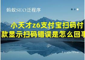 小天才z6支付宝扫码付款显示扫码错误是怎么回事