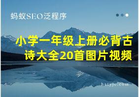 小学一年级上册必背古诗大全20首图片视频