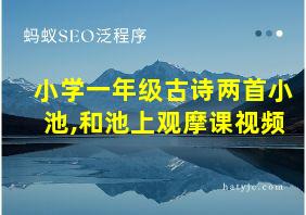 小学一年级古诗两首小池,和池上观摩课视频