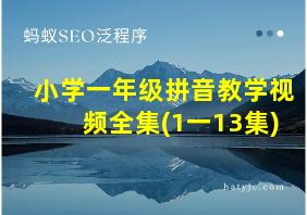 小学一年级拼音教学视频全集(1一13集)