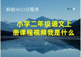 小学二年级语文上册课程视频我是什么