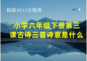 小学六年级下册第三课古诗三首诗意是什么