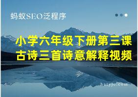 小学六年级下册第三课古诗三首诗意解释视频